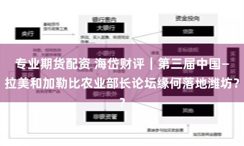 专业期货配资 海岱财评｜第三届中国—拉美和加勒比农业部长论坛缘何落地潍坊？